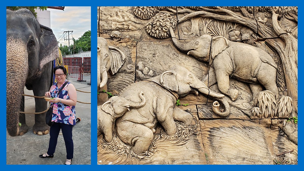 BNBX_Corp's tweet photo. During a recent visit to Mumbai to meet with #CertainT partners, we were honored to experience Ganesh Chaturthi celebrations. Also known as Vinayaka Chaturthi, this Hindu festival celebrates the birth of Ganesha. https://t.co/bx7Fm5InDR