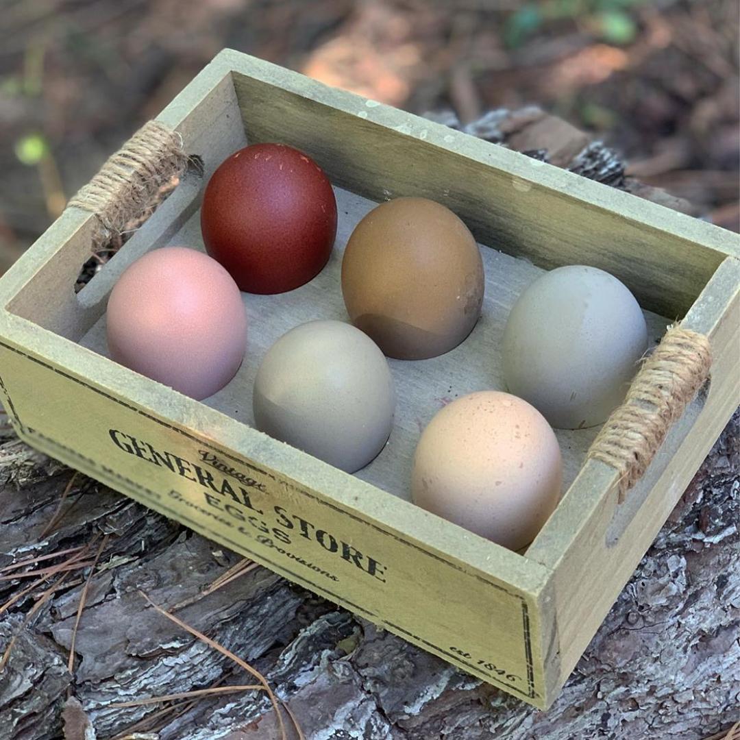 pet_monkey's tweet image. Egg goals🥚 
 
📸@saddlecreekfarm