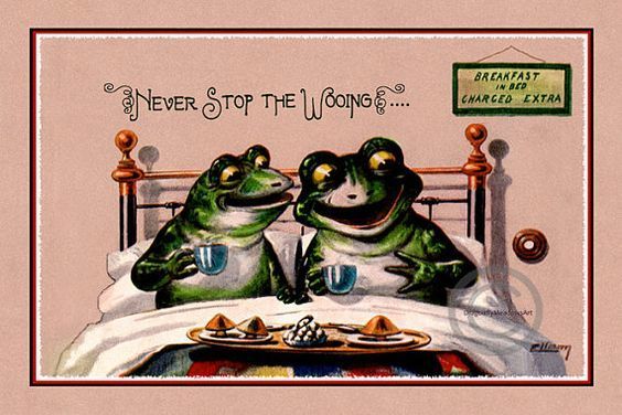 weird_christmas's tweet photo. Never. #frogtime https://t.co/6d0RdCtz4V https://t.co/K8H966QJxF