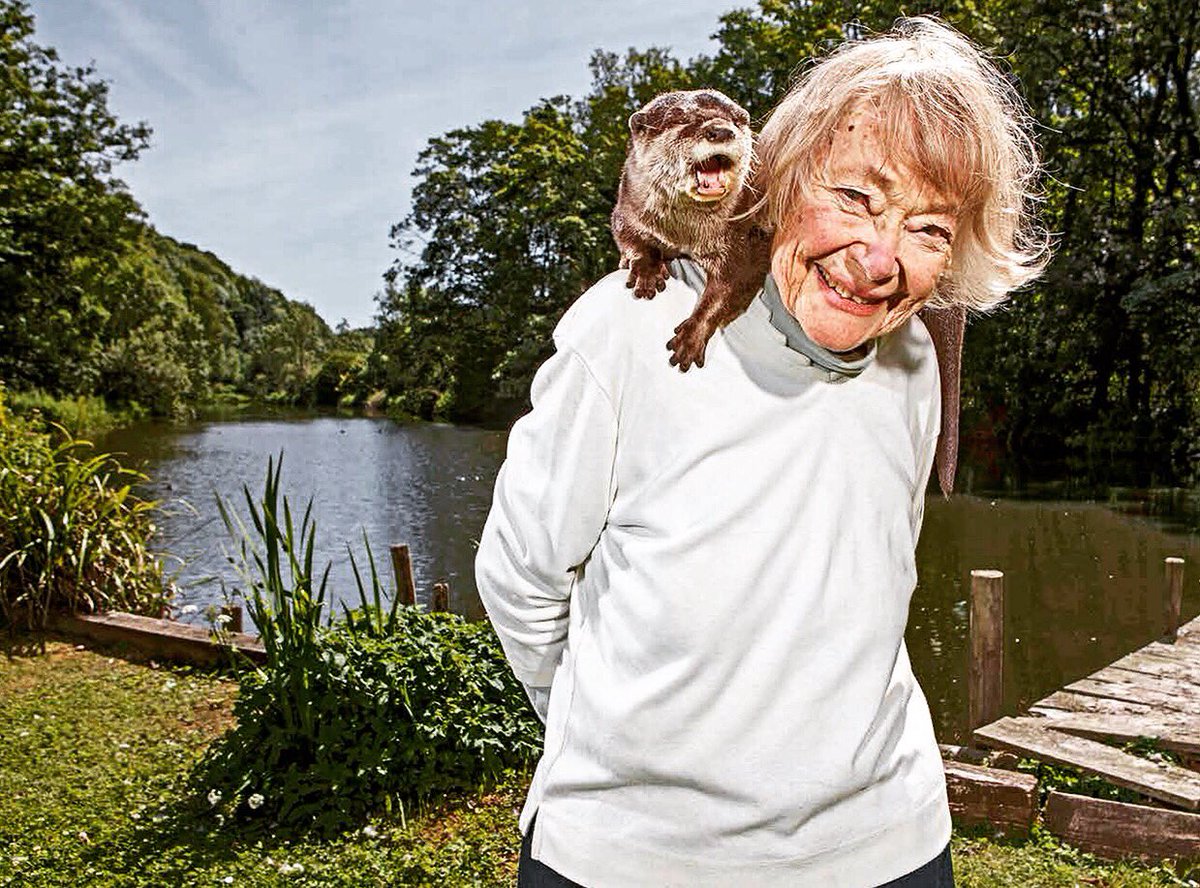 lucy ford tweet media