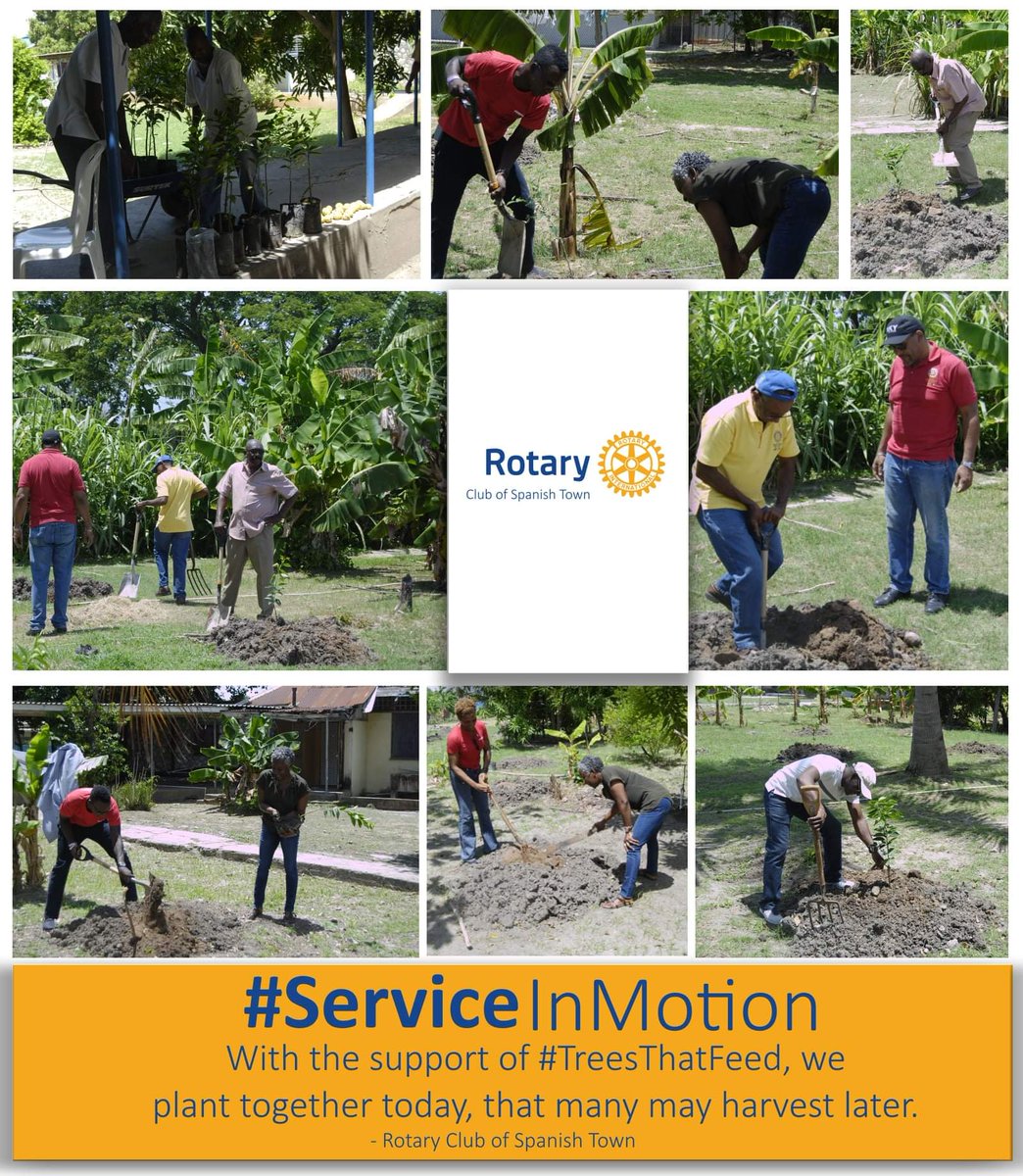 Rotary_SpTown's tweet photo. With the support of #TreesThatFeed, we plant together today, that many may harvest later.
- #TheRotaryClubOfSpanishTown https://t.co/HeACEXWSDC