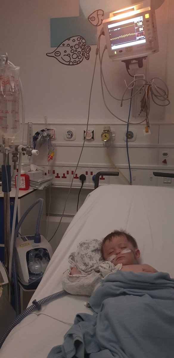 Luke Hart ✝️ tweet media