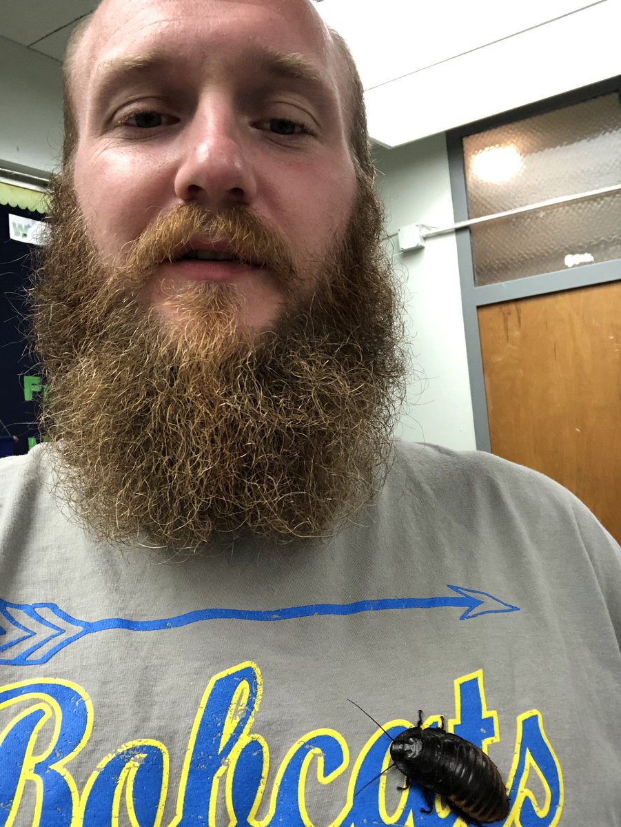 paul_PR0PER's tweet image. I brought out my teacher assistant while we explored minerals on Gizmo!