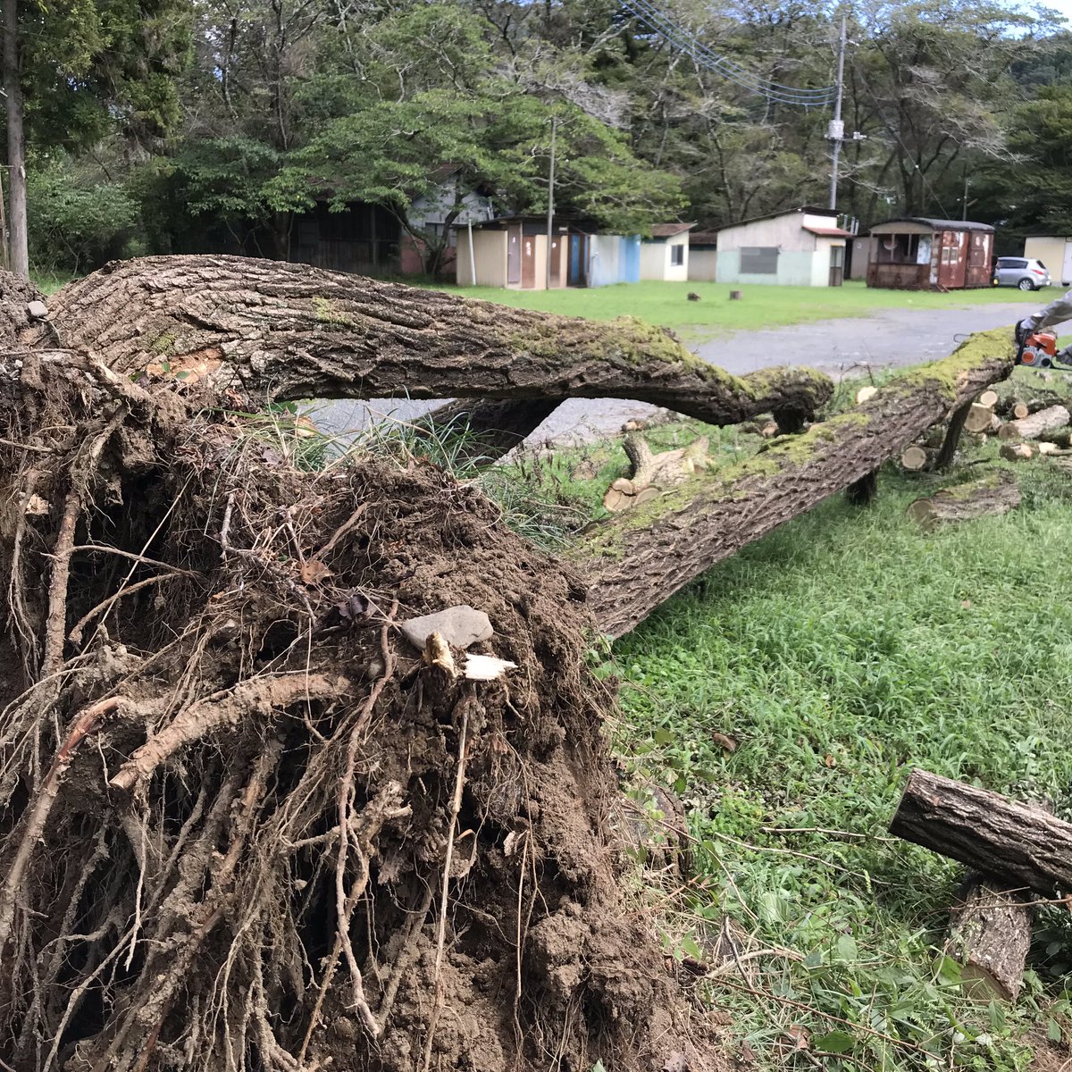 上小川キャンプ場 公式 台風15号の残した爪あとが各地で大変ですね 当上小川キャンプ場の４本の倒木もご心配をおかけしましたが この3日間家族で頑張り 今日最後の大木の片付けが終わりました 大変でしたがホッとしました 大増水した川も大分水が