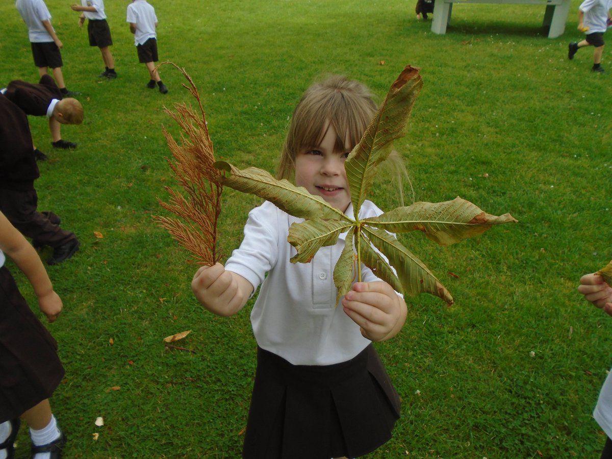 y28378243's tweet photo. @year1ols have been starting to think about seasons in science this term - exploring Autumn leaves! #olsscience https://t.co/Fbmv7msVb7
