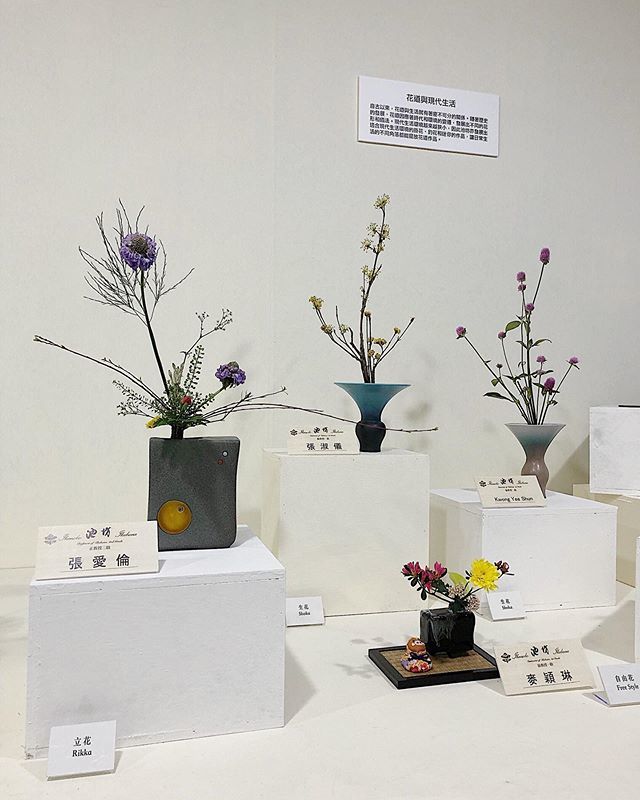 patsytond's tweet photo. “The purpose of making ikebana floral arrangements is not to create decorations. Rather, the purpose is to learn to appreciate certain things that people normally ignore.” 💚 #wellsaid #verdissimo https://t.co/8uYVnO2CD2 https://t.co/mJ1XUfCQSQ