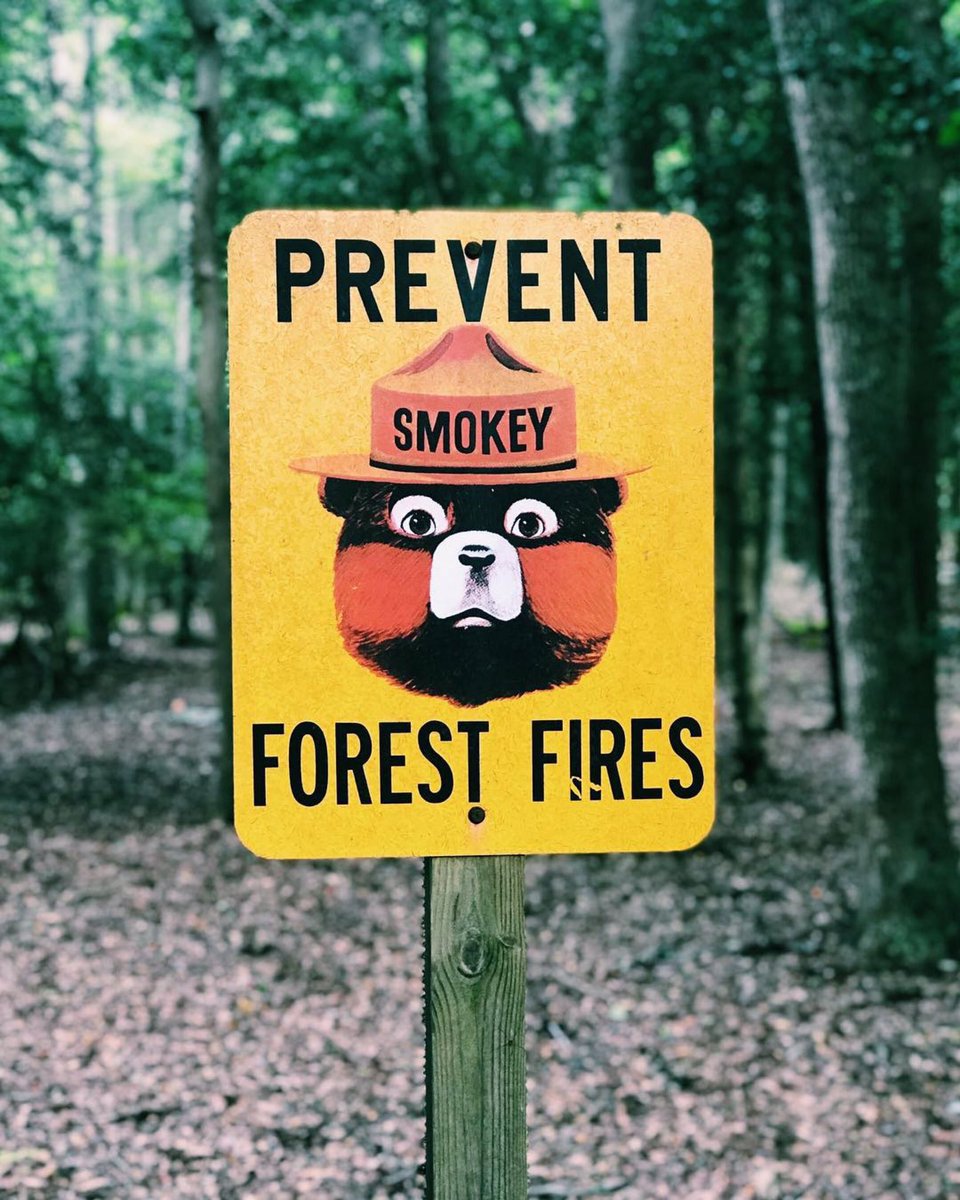smokey_bear's tweet photo. In case you need a reminder....#OnlyYou #TBT
#Repost @lovetagdesign https://t.co/Q7EXQzKjPt