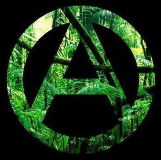 Anarchistischer Aufruf zum antikapitalistischen Block

#Klimastreik am #b2009 #Berlin, 12:00 Uhr Brandenburger Tor