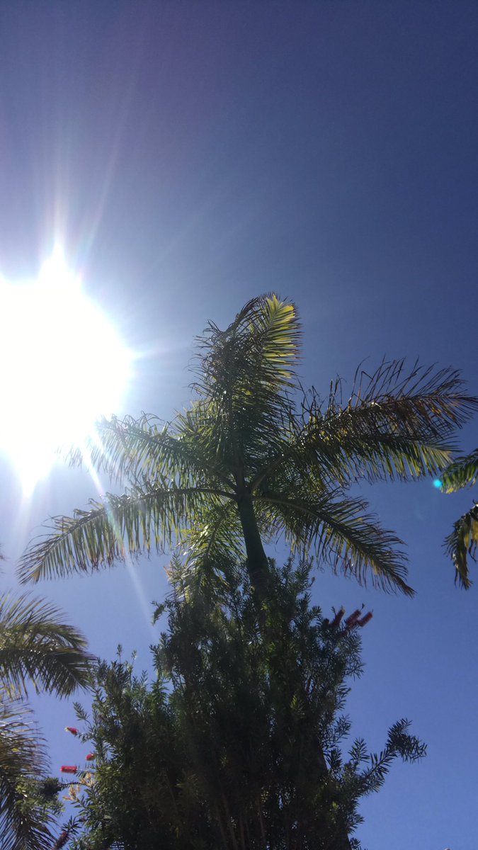 hoddo4000's tweet photo. @bbctms helping get through this heat https://t.co/qIbFG56jV8