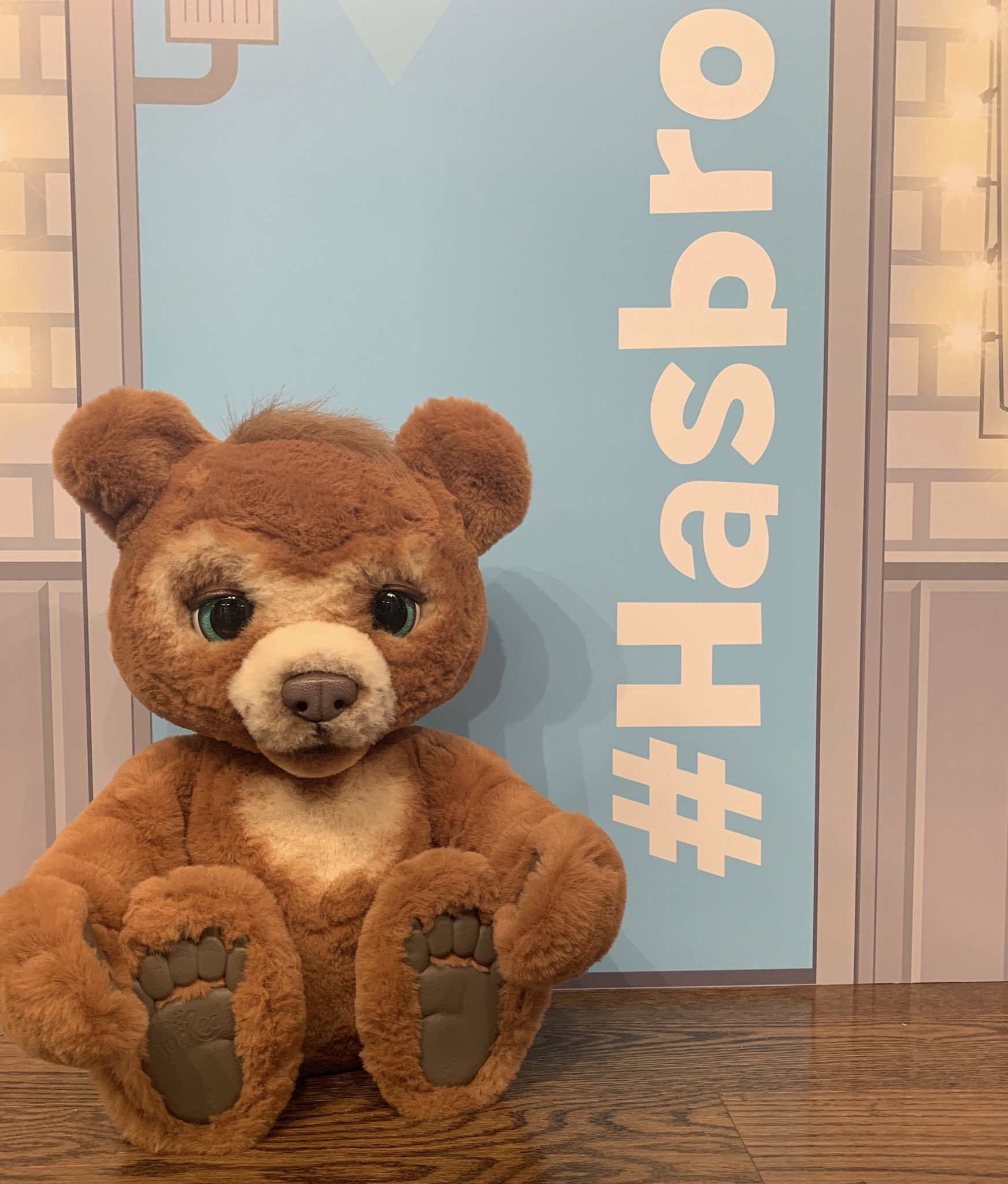 Hasbro hotsell cubby bear