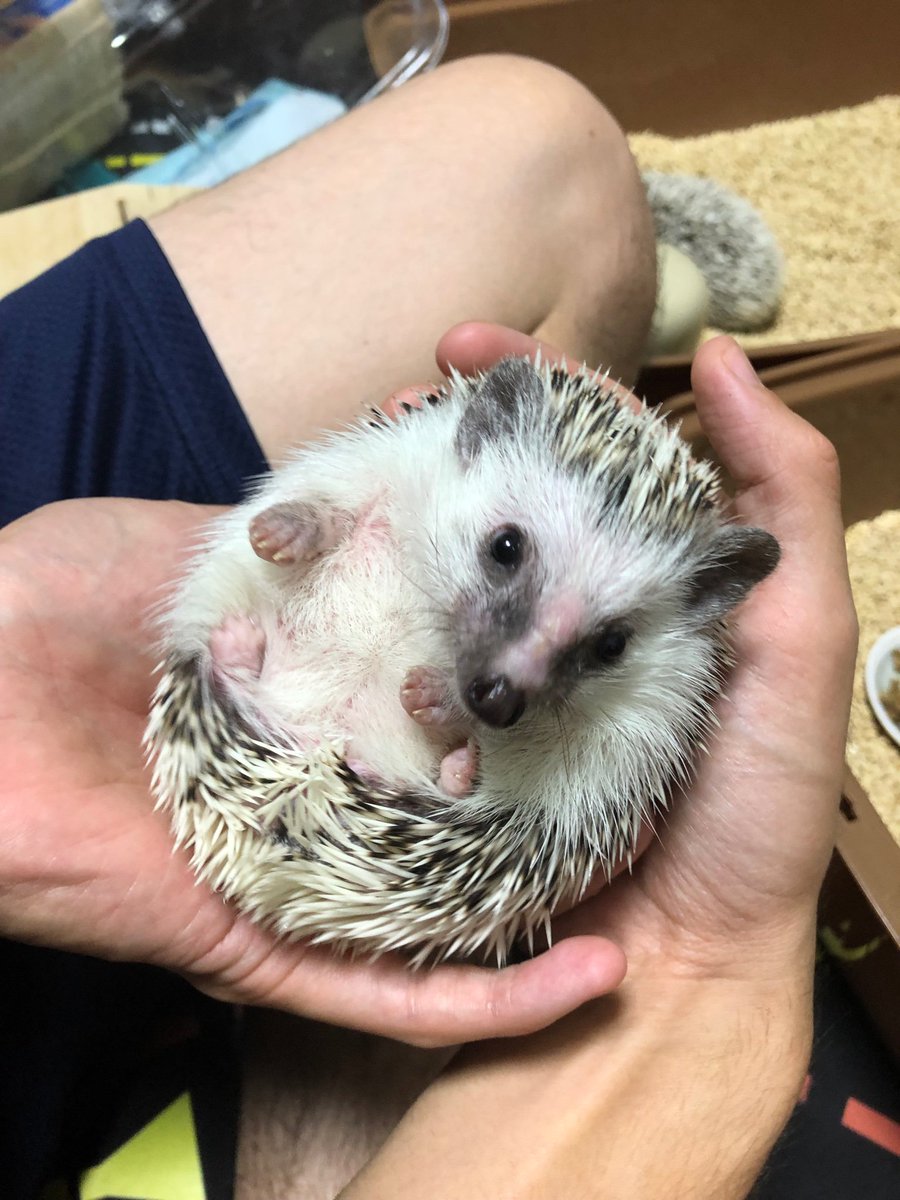 千葉心つなげよう