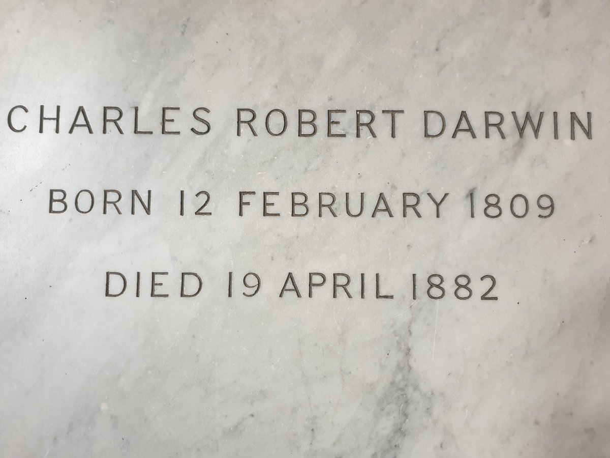 girlymicro's tweet photo. Happy days spending my 40th with some scientific greats at Westminster Abbey

Darwin, Hawking and Newton. Some day I'll be able to visit great women Scientists here in the same way

#everydayscience #sciencechangeslives https://t.co/k4peZLZjEN