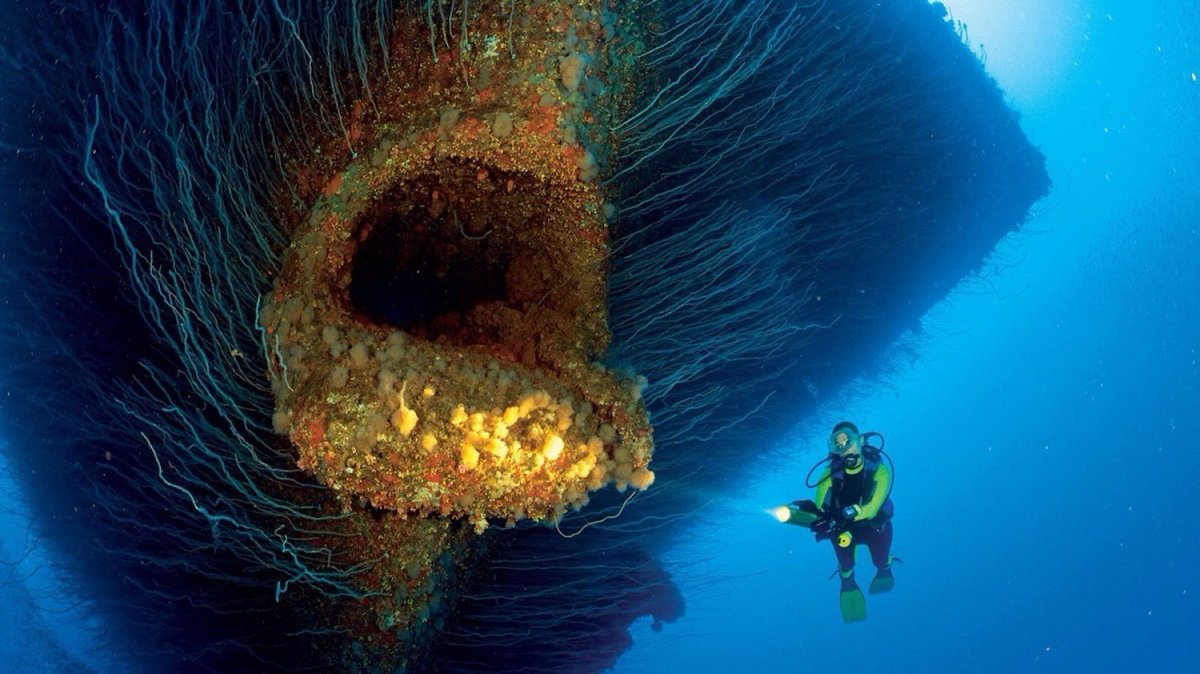 wetherbyhour's tweet image. The seabed is a playground for many divers - Here&apos;s 15 Of The Most Incredible Discoveries Made By Divers, some of these will take your breath away &amp;gt;&amp;gt; handpickedwetherby.co.uk/post/diver-dis…

#handpickeddiscoveries #handpickedwetherby #wetherby #harrogate #york #leeds