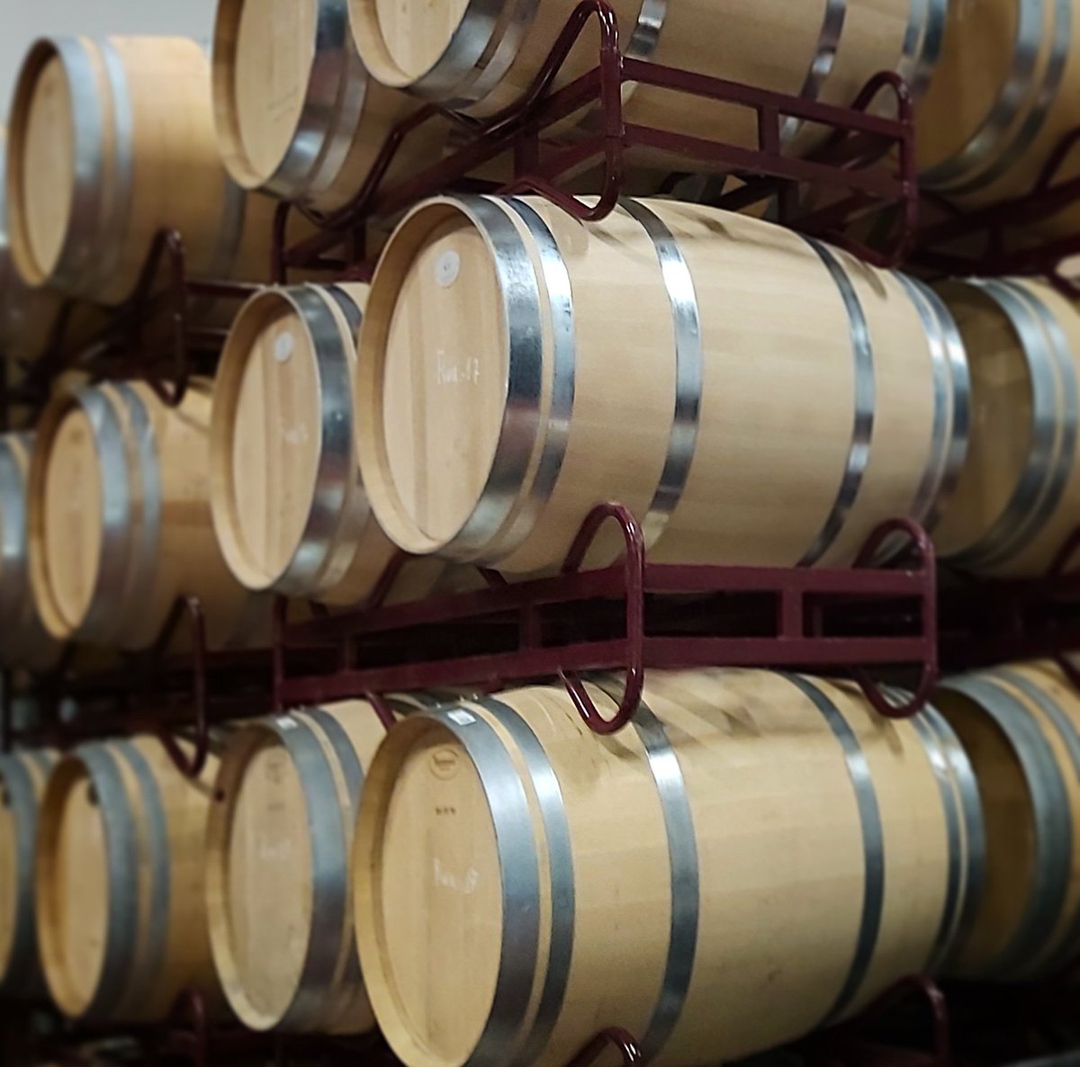 bodegasmonteaix's tweet photo. Envejecemos nuestros vinos en barrica de roble francés y americano.
Próximamente saldran nuevas añadas a la venta.

#barricas #vinos #wine #tempranillo #ribera #riberadelduero #DORibera #espirituribera #MonteAixa #LaHorra #Burgos #castillayleon #castillayleonesvida #España #Spain https://t.co/4LuKZipM4L
