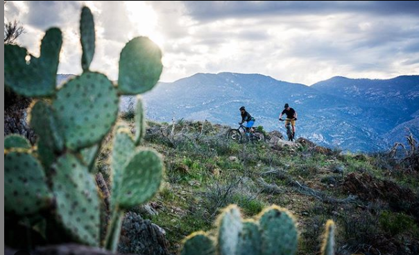 ExperienceWool's tweet photo. A sweaty situation doesn’t have to mean a smelly situation; because wool helps you stay odor-free (@ Duckworth) See how: https://t.co/AJTzOEQBNE
📸:@ EskerCycles 
#experiencewool #experiencewool #mtb #instamtb #visitarizona #igsouthwest #explorearizona #woolworks #letsgosomewhere https://t.co/ZnReH09ikq