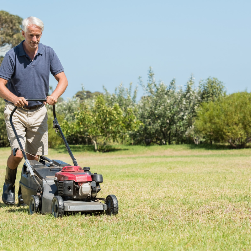 IncSeniors's tweet photo. The nights are getting cooler and before you know it the leaves will be falling. Let us help you and your loved ones stay ahead of your lawn cleanup by connecting you with skilled landscapers in your area. https://t.co/z0C1P1y6zj