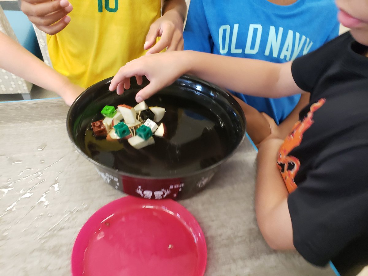 SOESlibrarylady's tweet photo. Our amazing @SevenOaksOwls scholars are #engineering rafts using only toothpicks, apples, and teamwork! #bettertogether #SOESmakerThursday @FortkampBre #bcpslms https://t.co/W227SDPQU5