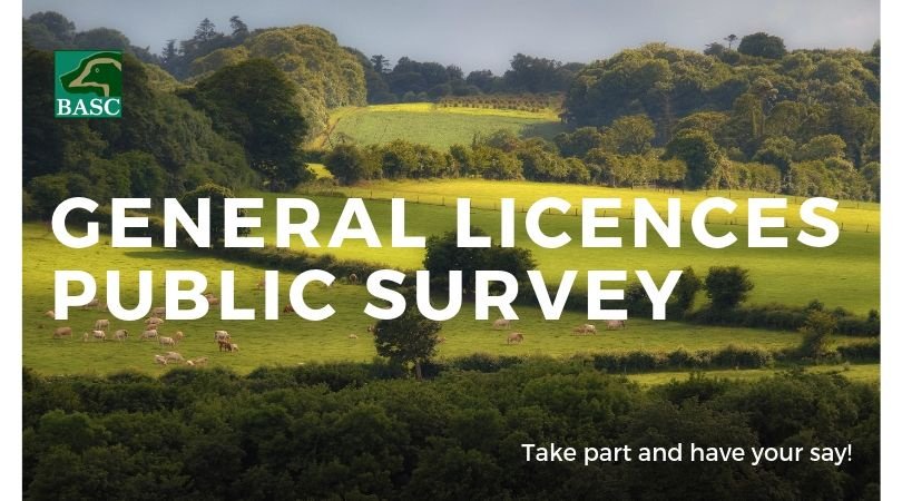 ***GENERAL LICENCES IN ENGLAND***

We urge everyone who shoots to take part in Defra’s survey. Engaging in the process is hugely important and the more people who make their views known, the louder the voice of the shooting community.

Click here: socsi.in/yeG33