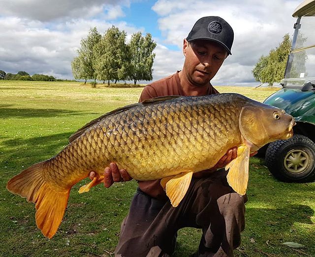 Curly's back in the game with this 22lb common using creamy passion boilies #commoncarp #carpfishing #carp #cyprinuscarpio #crowsheathfishery #carplake #carplife #fishing🐟 #fishing #filthyhooker #fishing🎣 #fishinguk #fishingislife #fishinglife #dayti… ift.tt/31i6LBM