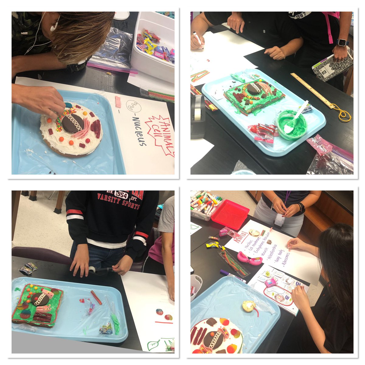 Plant and Animal cell models with my ESL class.