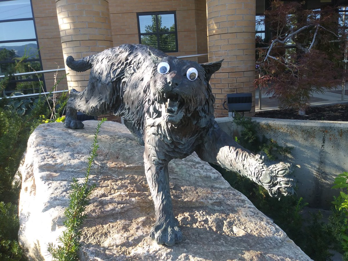Weber State University (@weberstateu) on Twitter photo OK, which one of you did this? 😂 #WeberState OK, which one of you did this? 😂 #WeberState