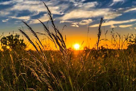 LuxTherapie's tweet photo. Pour tout savoir sur la #luminothérapie, lisez cet article. Luttez contre la #dépression saisonnière, #acné, les troubles du #sommeil ou encore la #boulimie uniquement avec la #lumière. #photothérapie #BienEtre #Sante  
https://t.co/7YQOkbHMTO https://t.co/pTkj5CoBhq