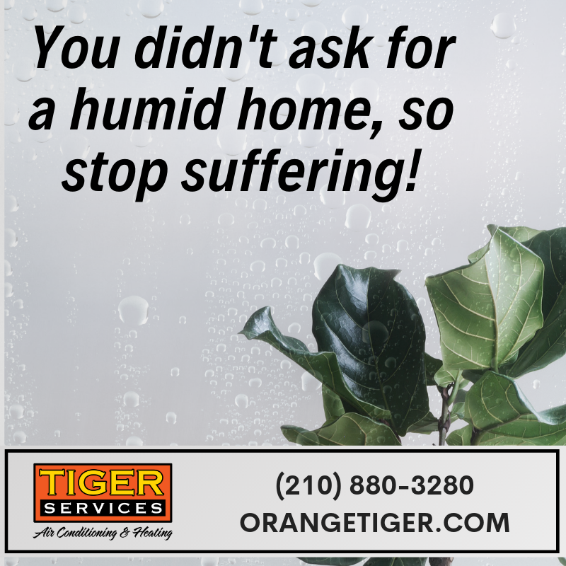 Has the change in weather impacted the humidity in your home? Put an end to the suffering and contact Tiger Services about getting the best-of-the-line dehumidifiers for your home! orangetiger.com/dehumidifiers/ (210) 880-3280 #humid #weather #sticky #home #comfort #dehumidifier #satx