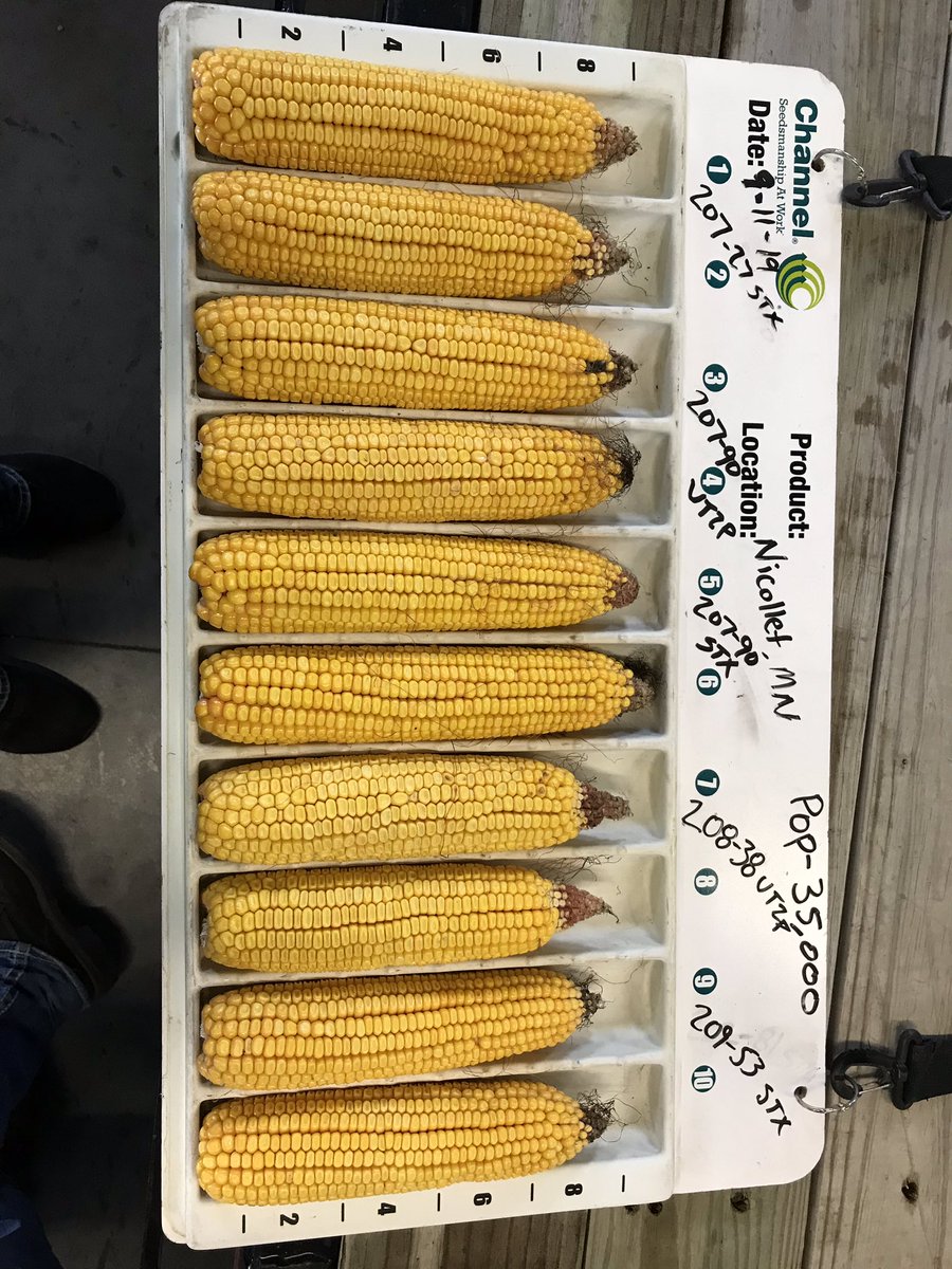 RudenickTaylor's tweet photo. Held our Customer Appreciation last night. Here are a few products that we’re excited about heading into fall 19 and looking forward to 2020. Products Planted May 7. Products from 1/4-1/2 Milkline. @ChannelSeed https://t.co/Ulxb6LYFEu