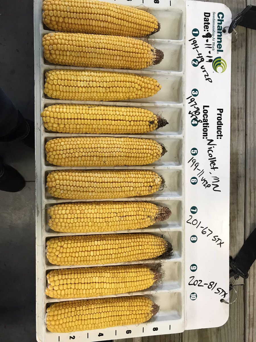RudenickTaylor's tweet photo. Held our Customer Appreciation last night. Here are a few products that we’re excited about heading into fall 19 and looking forward to 2020. Products Planted May 7. Products from 1/4-1/2 Milkline. @ChannelSeed https://t.co/Ulxb6LYFEu