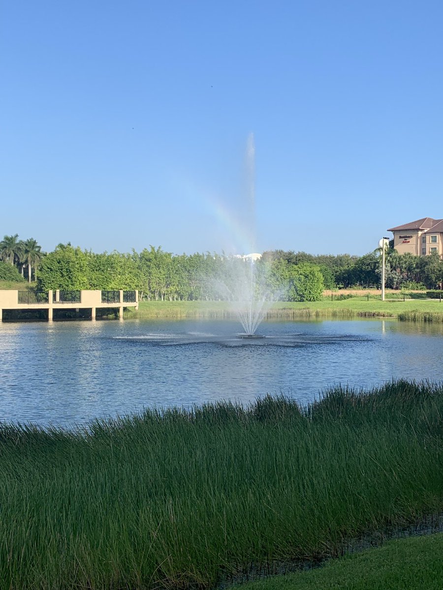 GoLifeGirl's tweet photo. 7 Year anniversary living in this beautiful country and I see this beautiful view from work!!
Every year has been better than the previous!! I am very grateful for this awesome life I live!!
#anniversary #grateful #belight #golifetoday #ilovemylife https://t.co/iBml5yRIGJ