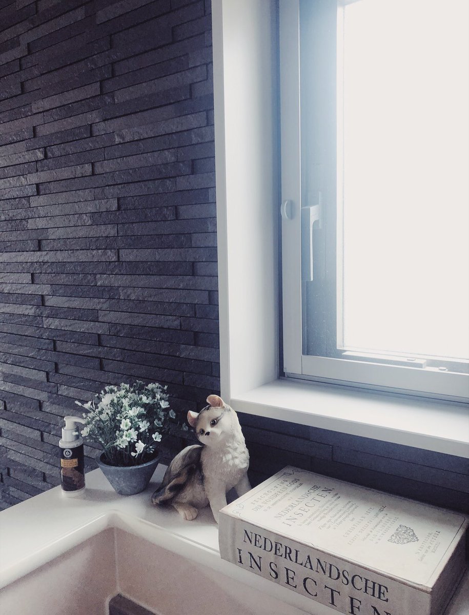 𝐿𝑒𝑒 בטוויטר 自分の家が可愛くて可愛くて 毎日帰るのが楽しみ 掃除機は必ず毎日かけて 部屋の隅まで綺麗にしてるとなぜ かダイエットも好調 精神的にも落ち着く