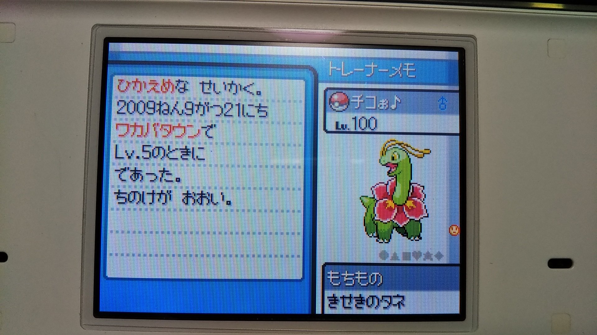 お白菜とお葱のおみそ汁 ポケモンハートゴールド ソウルシルバー10周年 俺のサンダースはかわいい T Co Oac0pd3cs5 Twitter