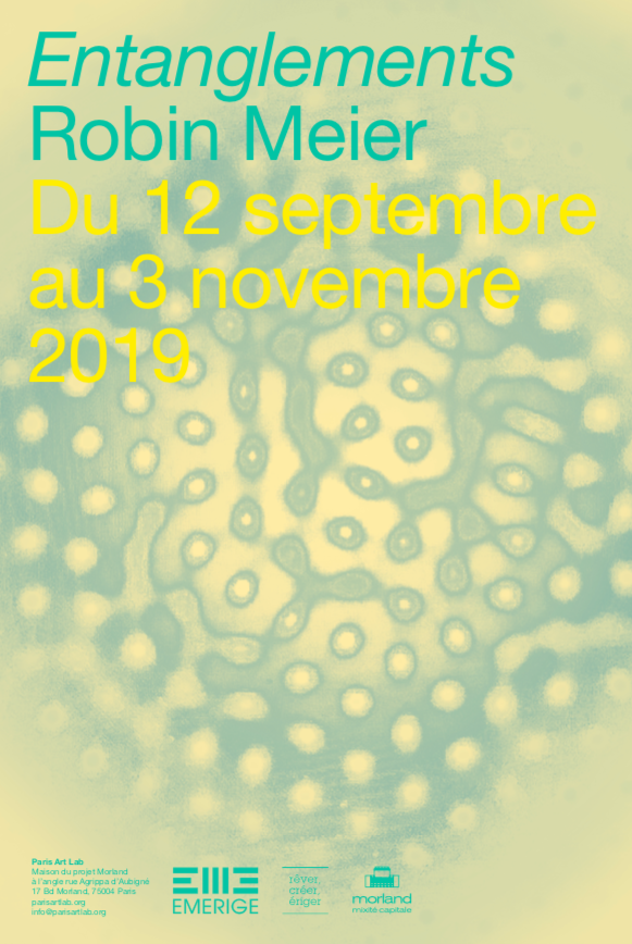 emerigemecenat's tweet photo. Nouvelle carte blanche à l'espace artistique de #MorlandMixitéCapitale : #ParisArtLab ouvre aujourd'hui "Entanglements" !

Dans ce solo show, #RobinMeier met en valeur le partage de l'environnement entre tous êtres qui l'habitent, au-delà de la frontière entre nature et culture. https://t.co/ZvTbkuPIsY