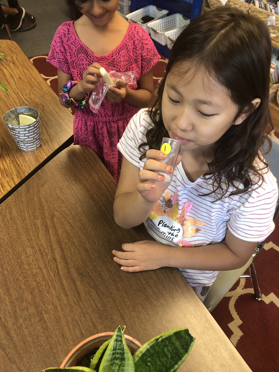 Students are exploring a plant's physical traits such color and smell which helps to attract pollinators. #weAreD34 #wbpandas