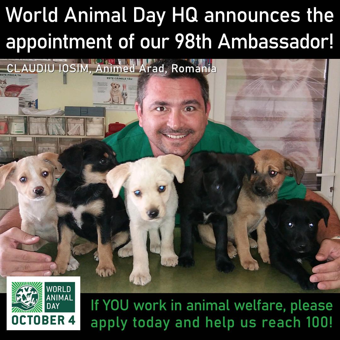 worldanimalday's tweet photo. 🇷🇴 World Animal Day HQ is delighted to announce the appointment of our 98th voluntary Ambassador! Claudiu runs a fantastic programme in Romania 🐶🐱
Do YOU work in animal welfare? APPLY TODAY &amp; help us reach 100! Email info@worldanimalday.or.uk for info
https://t.co/fVsXTT6qGe https://t.co/RjKx10miCj