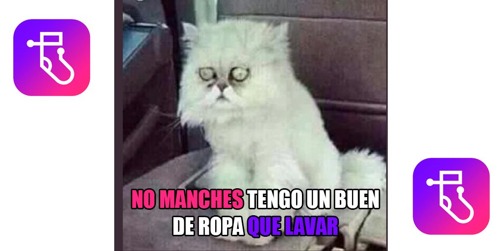 LavanderiApp tweet media