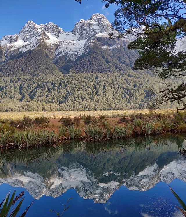 #TBT to New Zealand and its stunning views #takemeback #newzealand #mirrorlakes #reflections #strayNZ #gorgeous #mountains #travelling #missit ift.tt/31rYewl