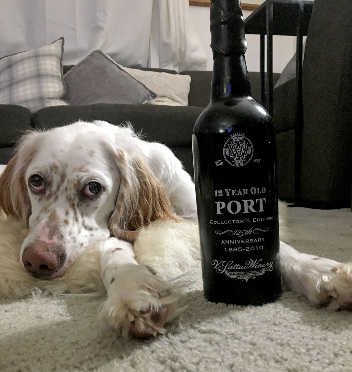 Is there anything better to come home to than a dog and a bottle of V. Sattui Port or dessert wine? We don't think so!
#winewednesday #dessertwine #vsattuiport #vsattuiwine #winedogs #wineanddogs #portwine bit.ly/2lVaPrL