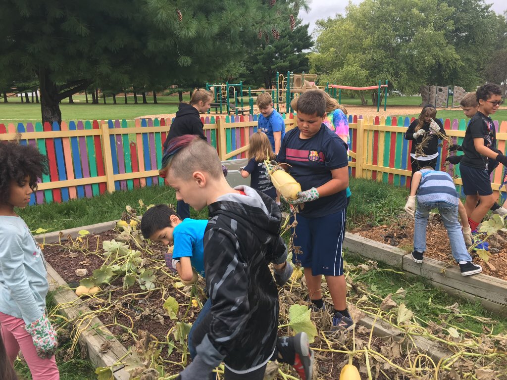 MissMegHartzell's tweet photo. The garden is harvested and the squash are ready to be taken to the Food Pantry! Tomorrow the kids will walk the squash to the Food Pantry to donate as a class #ripon5th #riponwiproud https://t.co/5M2YaVdnvj