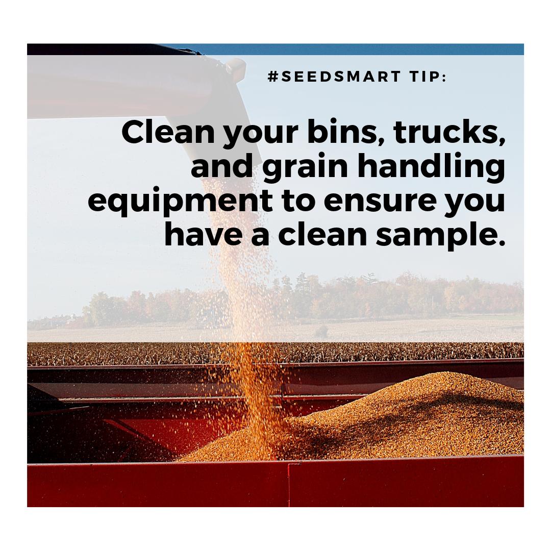 BeSeedSmart's tweet photo. For more information on how to get a good #seedsample, visit https://t.co/iveSKUl7qz! #seedsmart #seedtesting #westcdnag #harvest19 https://t.co/IyTkDgmBST