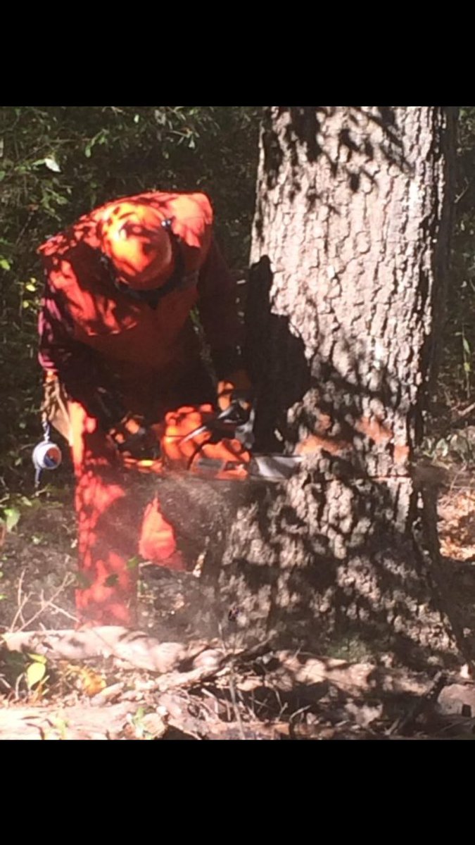 sawman268's tweet photo. Big thanks to the @CTT2Center for allowing me the opportunity to teach chainsaw safety today at their public works academy #publicworksmakesithappen #publicworksfirstresponder https://t.co/s9a3ofzDzy