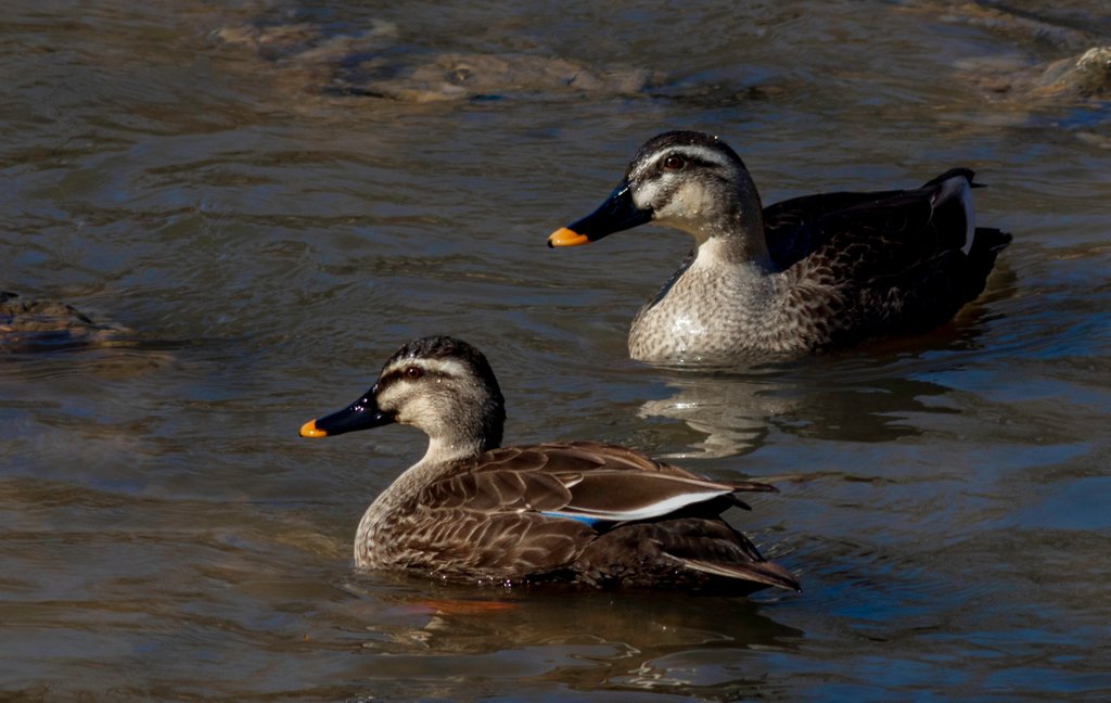 Michael Payne tweet media