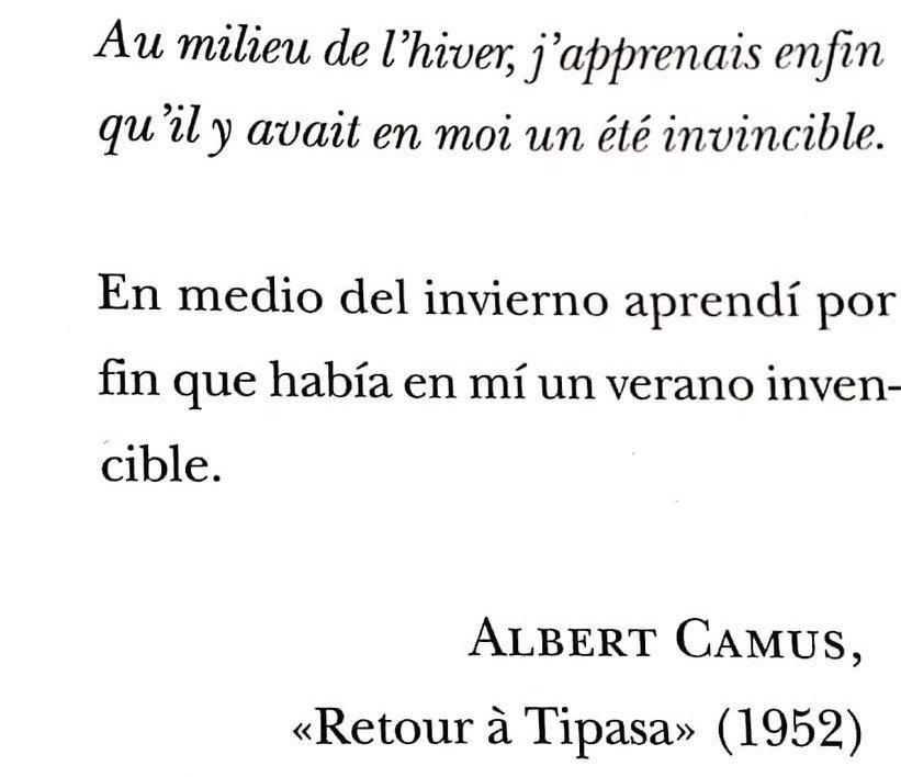 Paco Paquito 🙌🙌🙌 tweet media