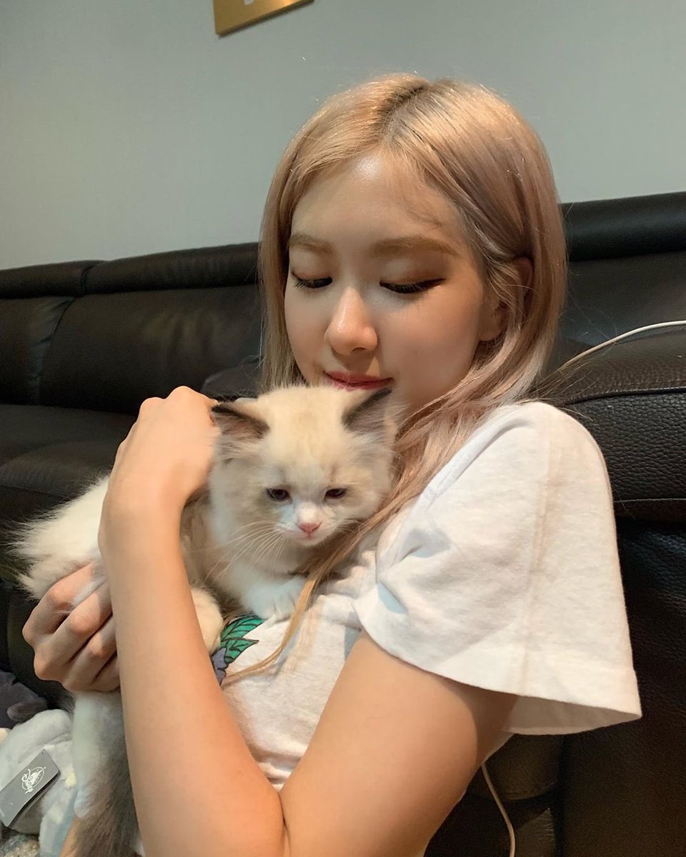 rosiefeed's tweet photo. https://t.co/UgxozejzeK