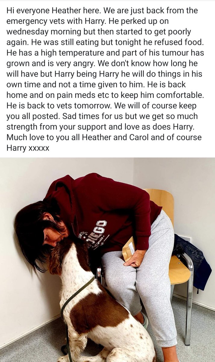 Hi everyone Heather here Harry is just back from the emergency vets as he has been poorly. Full update in picture. Xxx #thedogintheredboot