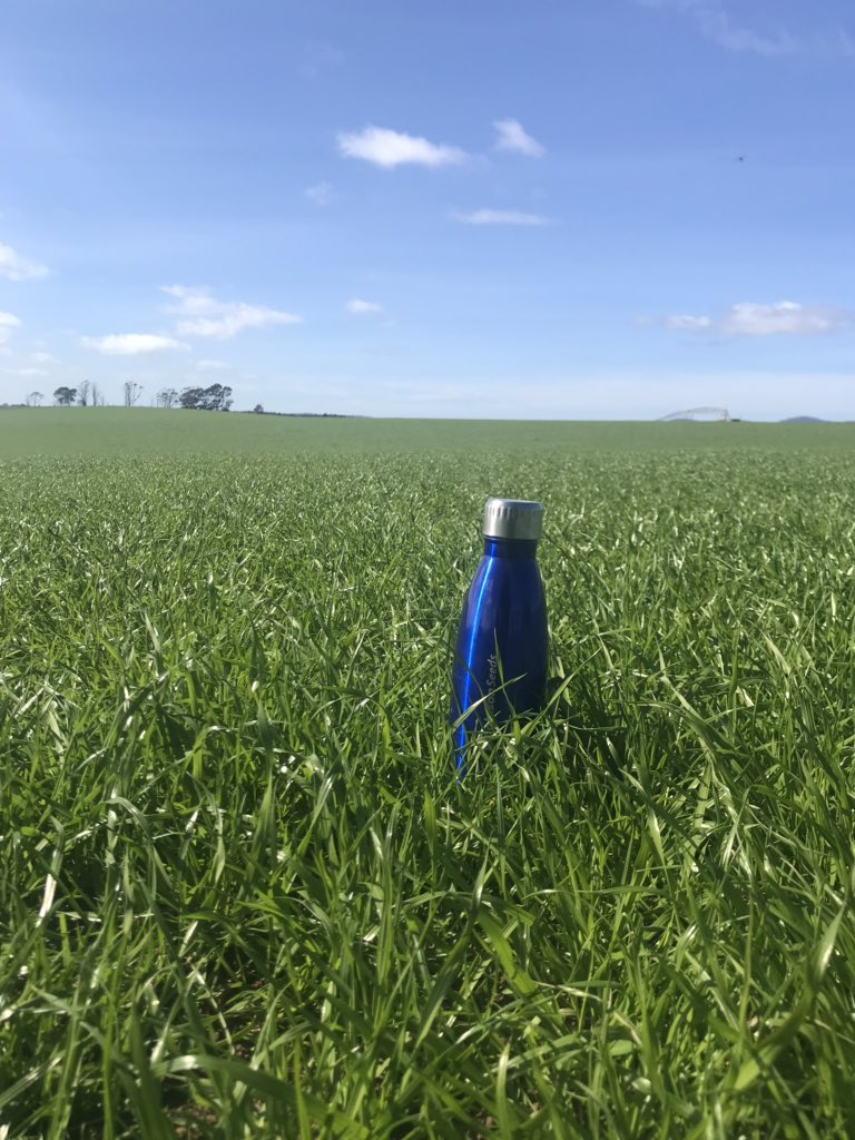 David Squibb tweet media