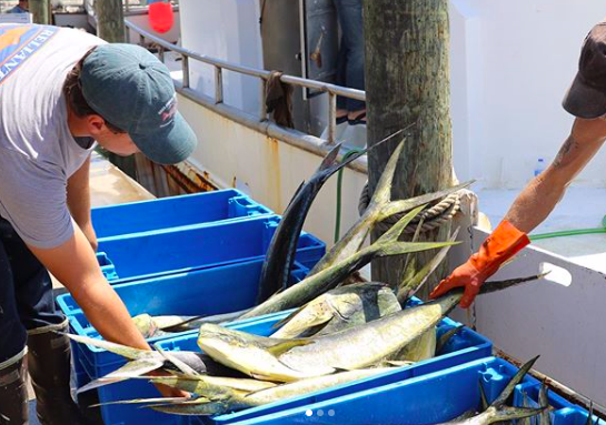 GetFarmd's tweet photo. From now until 3pm, we have a DEAL OF THE DAY running on Greg Abrams Seafood! Want to learn more? See the deal on https://t.co/UjZJfoxkhm and watch our latest IGTV video to hear about the company from Greg Abrams and his son Austin Abrams themselves. https://t.co/zjiZ4x4CKW https://t.co/Rpvo0UxnxL