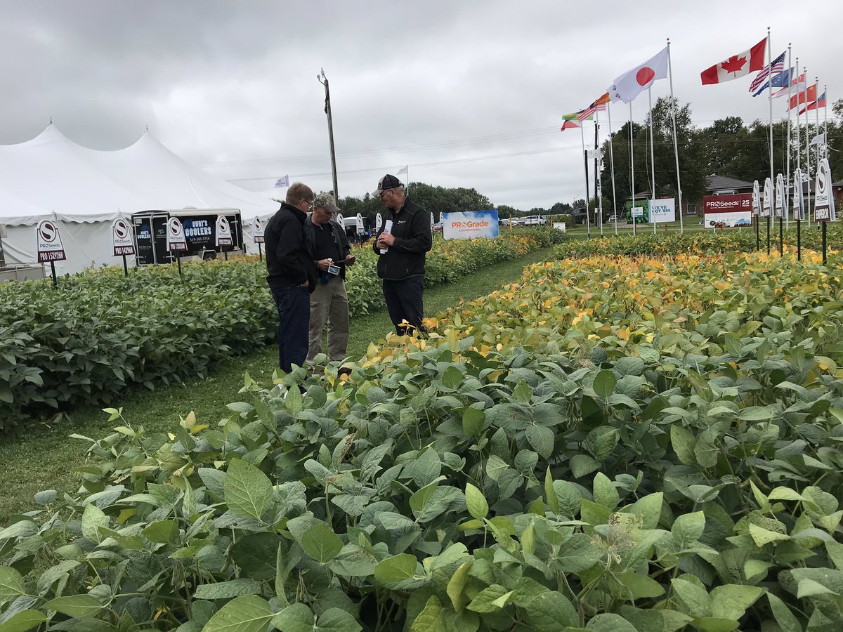 Sevita_Int's tweet photo. Jim Van Nes is in the house! Drop by the PROSeeds site for a quick conversation or tour. #proseeds #sevitainternational https://t.co/9yMJZQvAf7