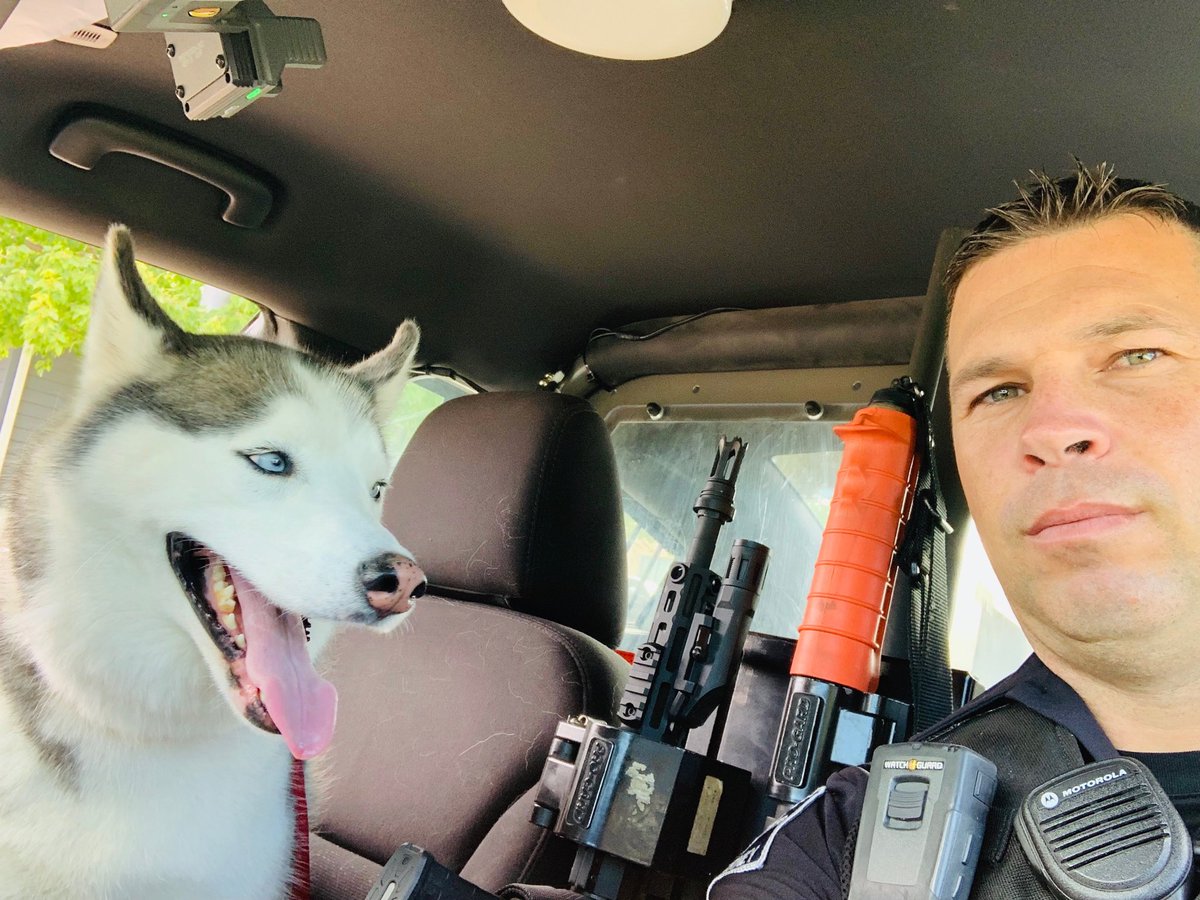 KPD224's tweet photo. Interested in a career with KPD. Start by riding along w/ an officer today. Stop by the Kearney Police Department for more information. #ridealongprogram #myhusky โฆ @KearneyPoliceโฉ https://t.co/q95pzrNJVR