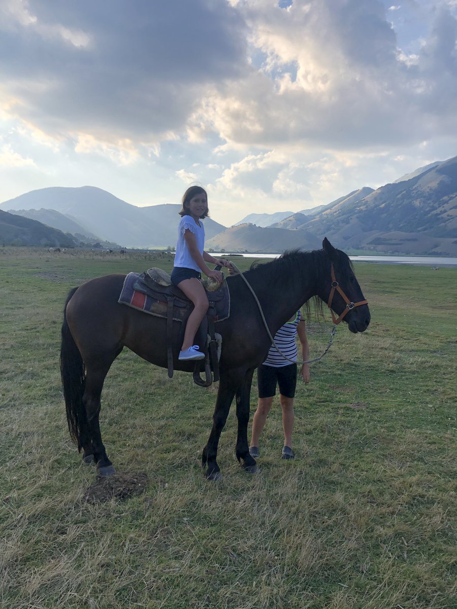 whatley31's tweet photo. 🦓 https://t.co/3Jz9VFI5HR